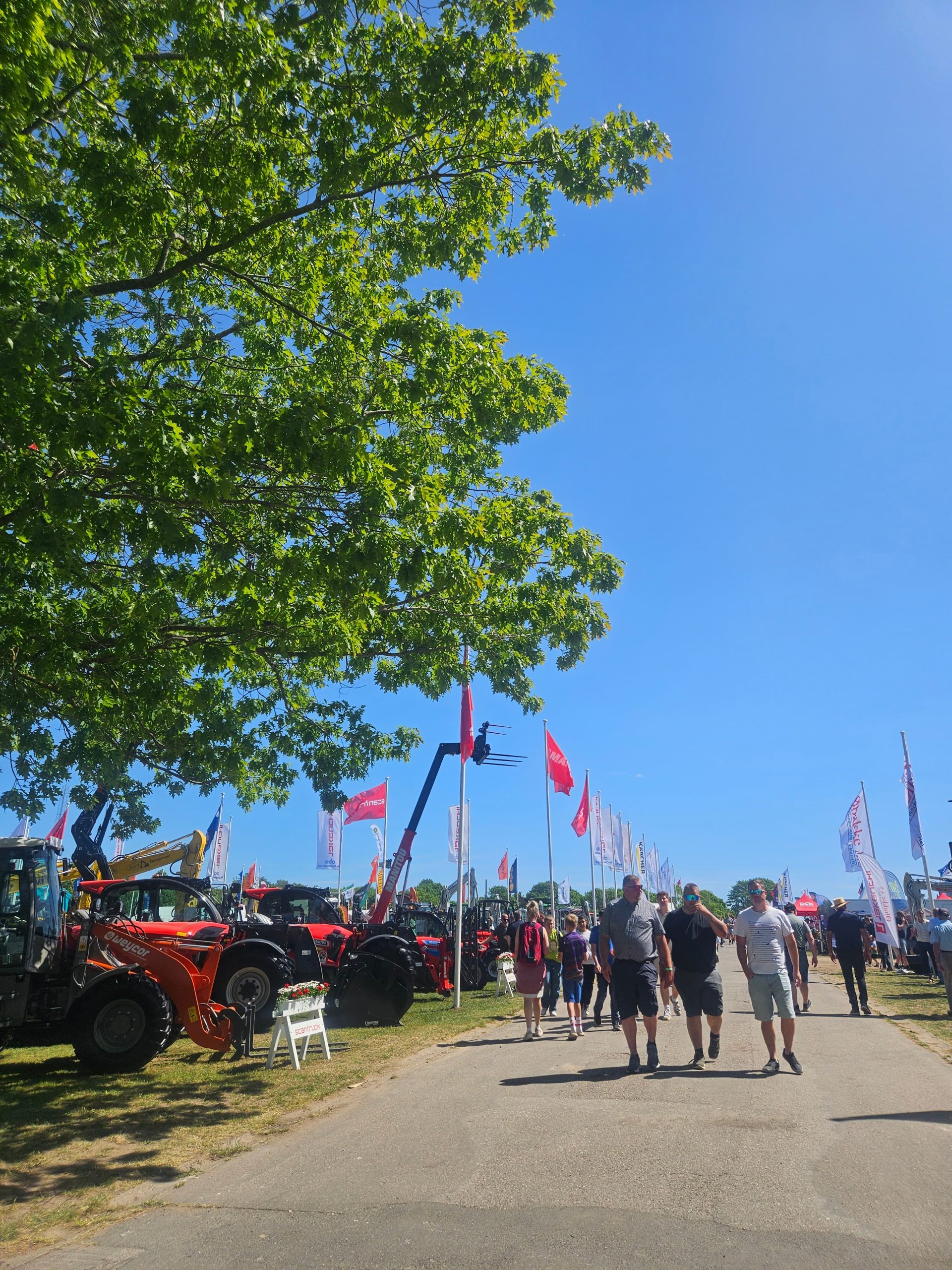 Roskilde Dyrskue